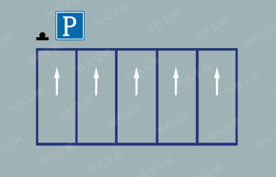 这种停车标线含义是什么?