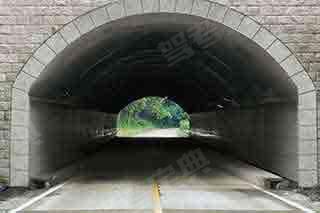 如圖所示，車輛行駛中遇隧道時，教練員應提示學員___。 